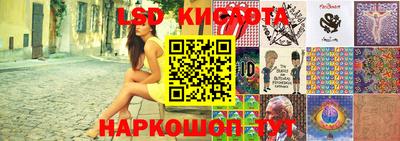 PSILOCYBIN Донской