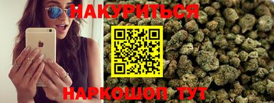 шишки Дубна