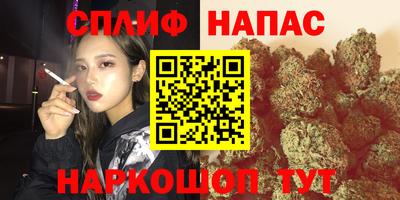 шишки Дубна